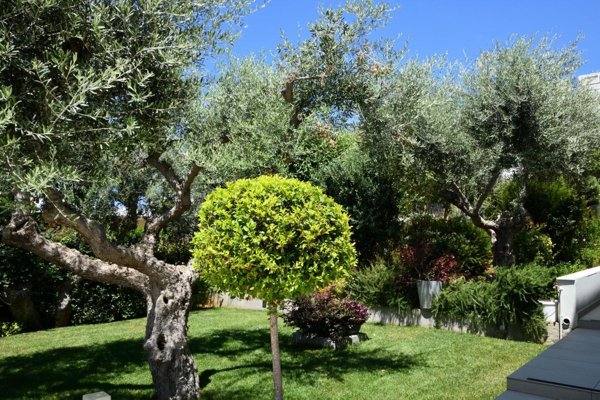 Sunlight Breeze Villa Chania  Zewnętrze zdjęcie